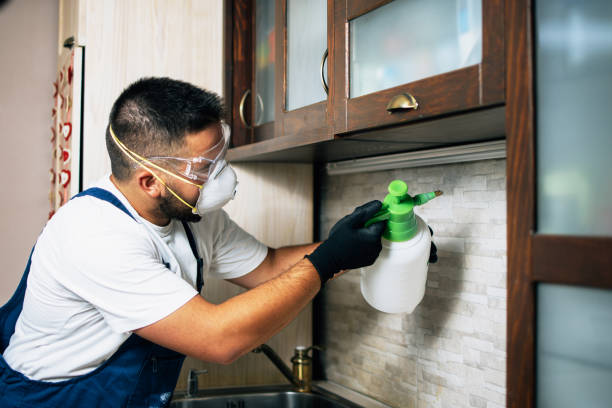 Best Commercial Pest Control Services  in Hyde Park, UT